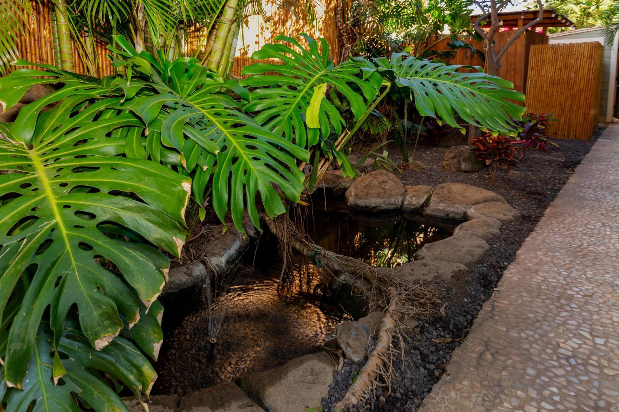 Plumeria Suite, 2-Bedrooms, Sleeps 6, Pool & Bbq, Pre-Renovation Summer Sale Kihei Bagian luar foto